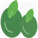 Oliva Comida Fruta Icono