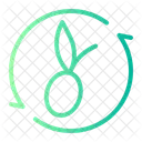 Olive Circular Arrow Circle Icon