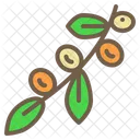 Olive Vegetable Food Icon