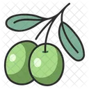 Oil Olive Natural Icon