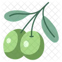 Oil Olive Natural Icon