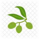 Olive Icon