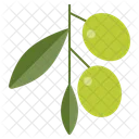 Olive Food Green Icon