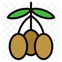Olive Fruit Organic Icon