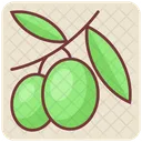 Olive Fruit Nutrition Icon