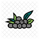 Berries Natural Tree Icon