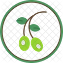 Olive  Icon