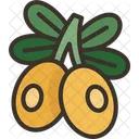 Olive Oil Extract Icon