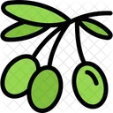Olive Organic Diet Icon