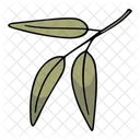 Twig Branch Ripe Icon