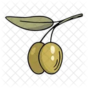 Olive branch  Icon