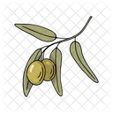 Olive branch  Icon
