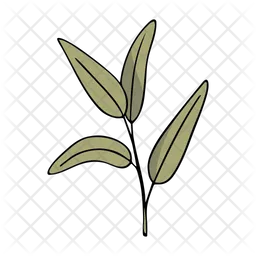 Olive branch  Icon