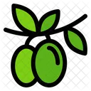 Olive Branch Oil Food Icon