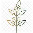 Olive Branch  Icon