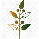 Olive Branch Branch Olive Icon