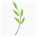 Olive Branch Branch Leaves Icon