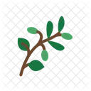 Olive Branch Local Produce Authentic Icon