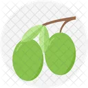 Olive Obst Petitefruit Symbol