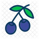 Food Healthy Nature Icon