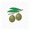 Olive  Icon