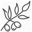 Olive Olive Plant Nature Icon