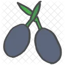 Olive Meditteranean Food Icon