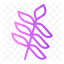 Olive Nature Leaf Icon