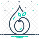 Olive Oil Olive Oil Icon