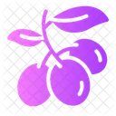 Olive Pit Seed Olive Icon