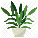 Olive Potted Plant  Icon