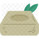 Olive Soap  Icon