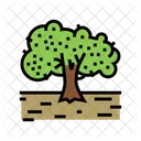 Olive Tree Cultivation Tree Icon