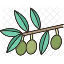 Olivenbaum Olivenzweig Olive Symbol