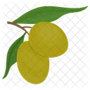 Olive Branch Leaf Icon