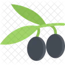 Olives  Icon
