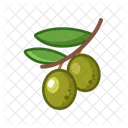 Olives Vegetables Vegetarian Icon