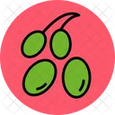Olives Food Green Icon
