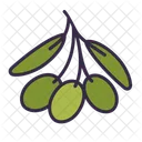 Olives  Icon