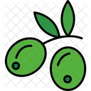 Olives Food Oil Icon