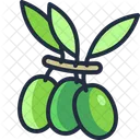 Olives Food Healthy Icon