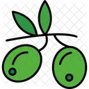 Olives Food Oil Fruit Olive Vegetable Healthy Branch Cooking Plant アイコン