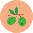 Food Healthy Vegetable Icon