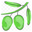 Olives Olive Food Icon