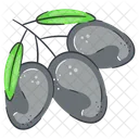 Olives Olive Food Icon