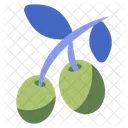 Olives  Icon