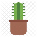 Maceta Cactus Planta Icono