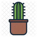 Maceta Cactus Planta Icono