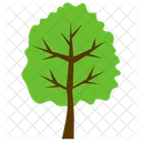 Olmo Arbol Plantar Icon