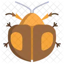 Omaspides  Icon